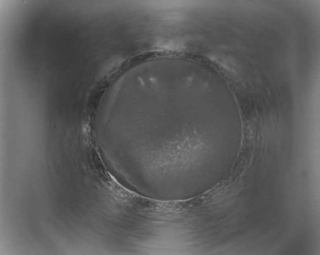 X0000070341254200606161241