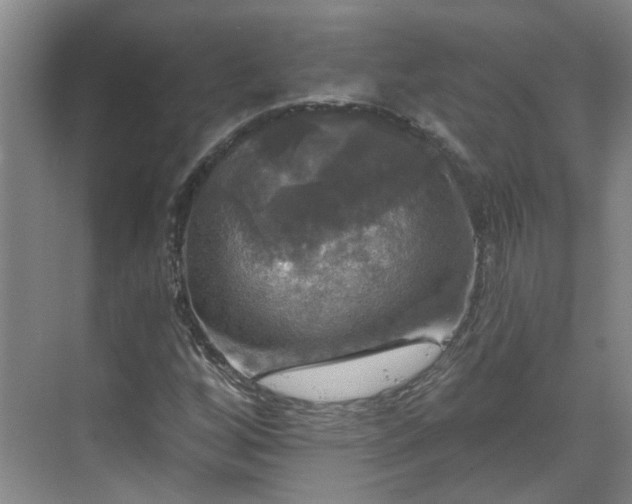 X0000070341256200606161241