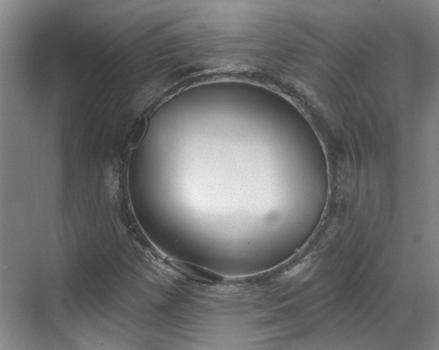 X0000070341257200606161241