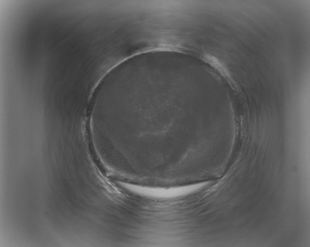 X0000070341260200606161241