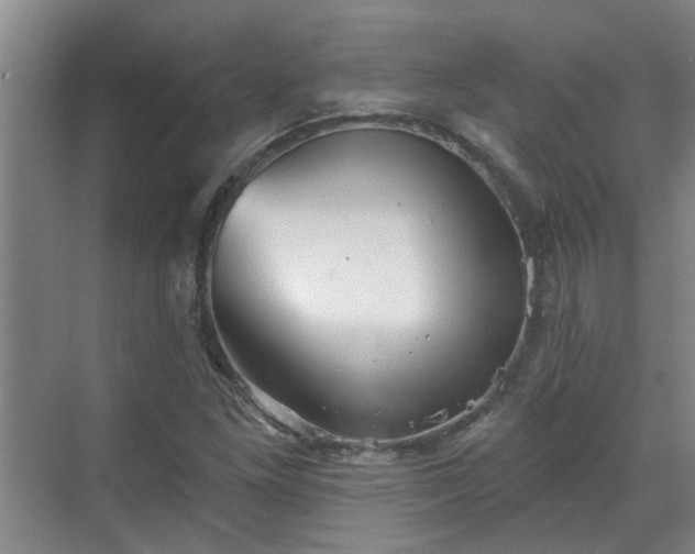 X0000070341261200606161241