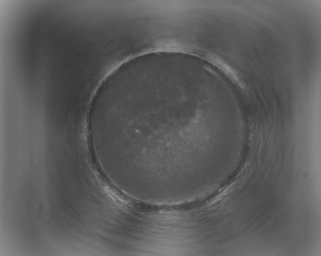 X0000070341264200606161241