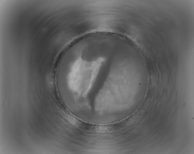 X0000070341266200606161241