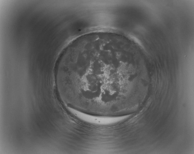 X0000070341267200606161241