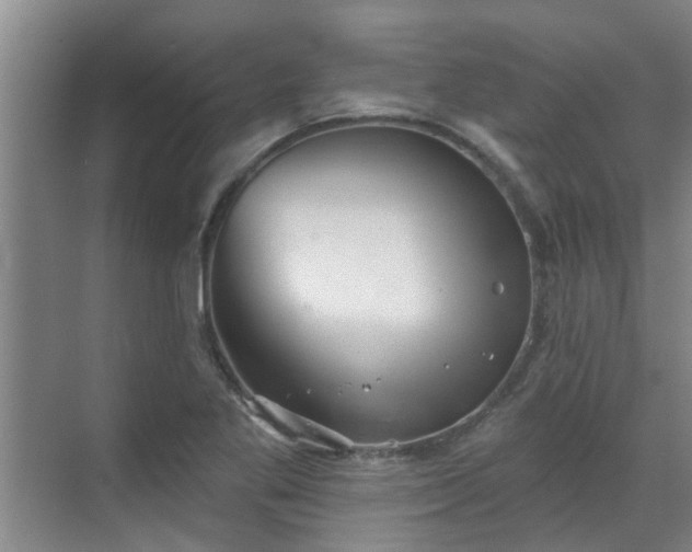 X0000070341269200606161241