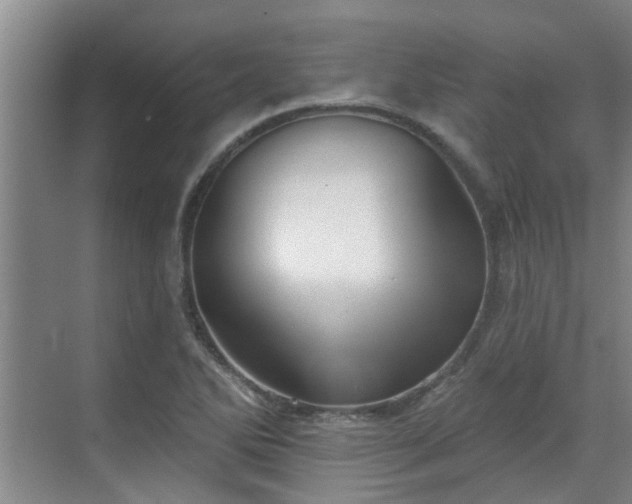 X0000070341270200606161241