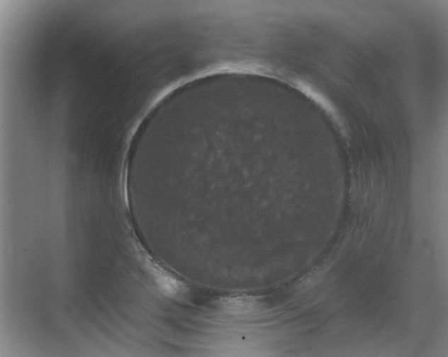 X0000070341272200606161241