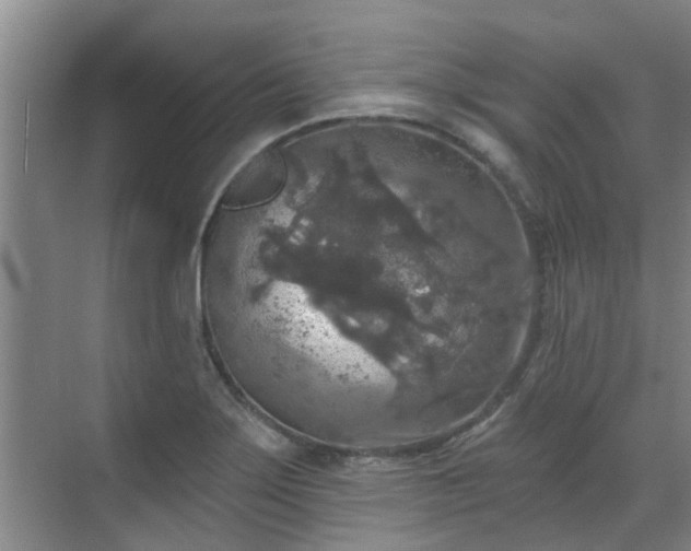 X0000070341275200606161241