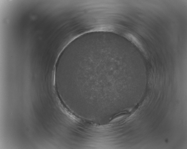 X0000070341276200606161241