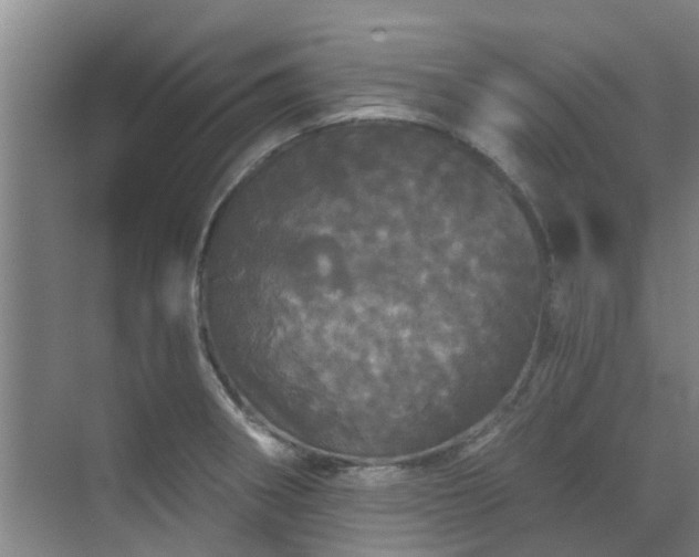 X0000070341282200606161241