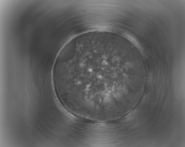 X0000070341283200606161241