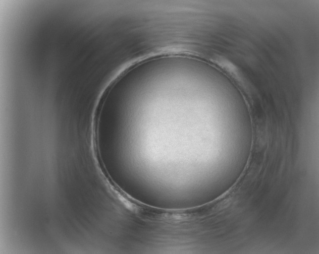 X0000070341286200606161241