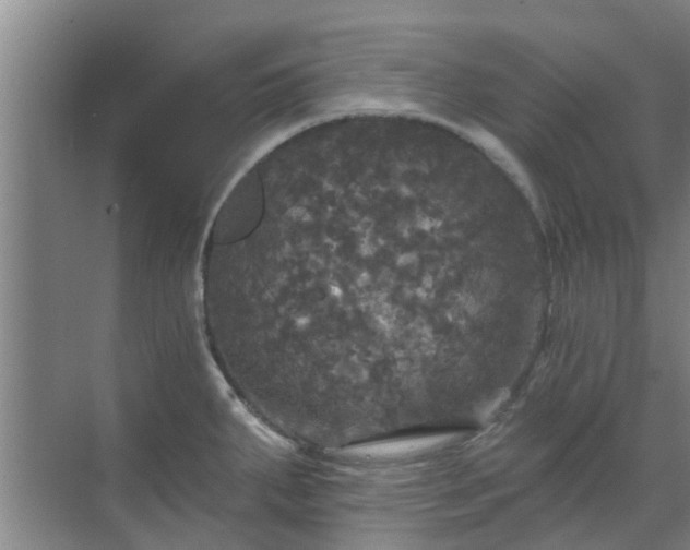 X0000070341287200606161241