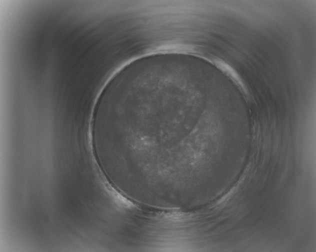 X0000070341288200606161241