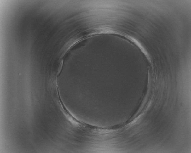 X0000070341289200606161241