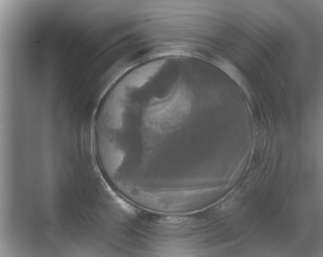 X0000070341290200606161241