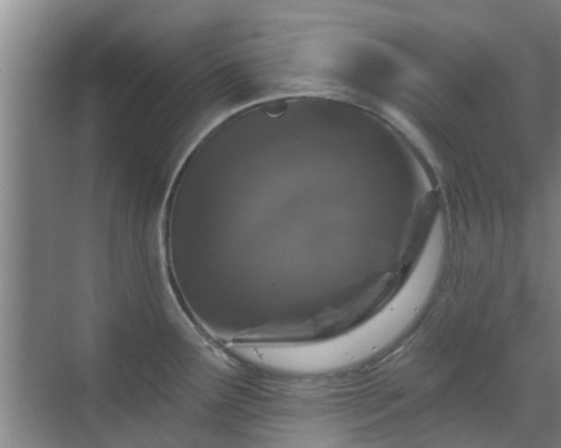 X0000070341291200606161241