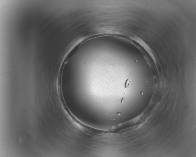 X0000070341293200606161241