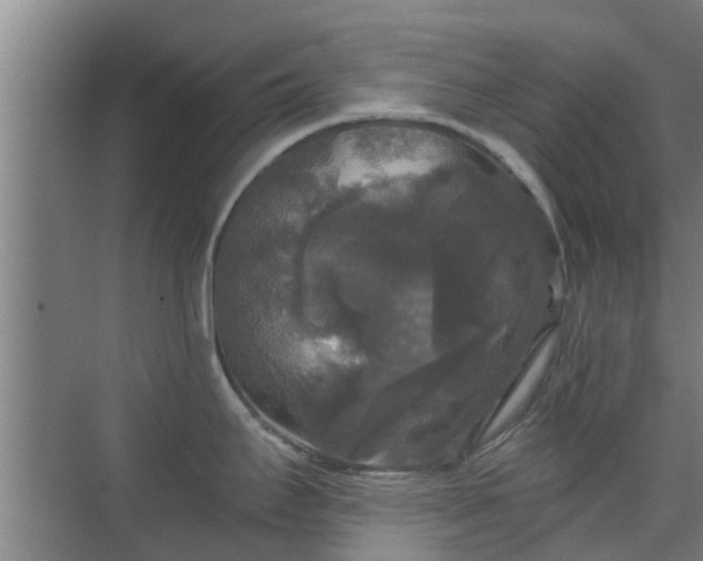 X0000070341295200606161241