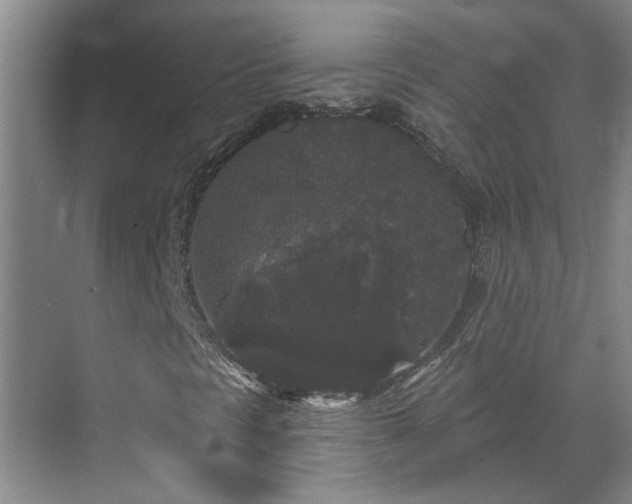 X0000070341297200606161240