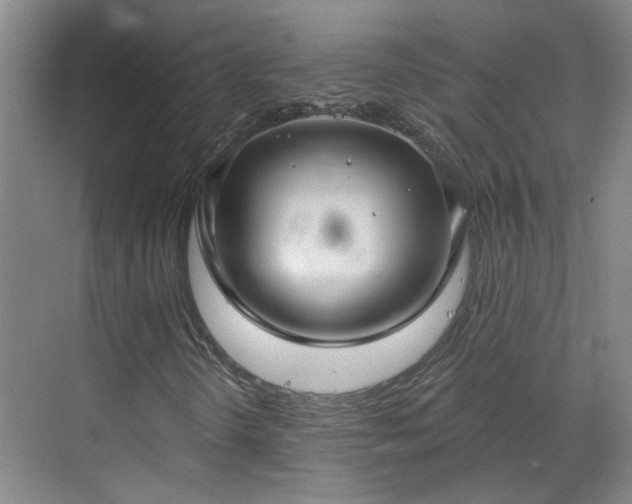 X0000070341298200606161240