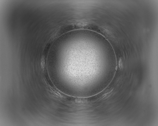 X0000070341299200606161240