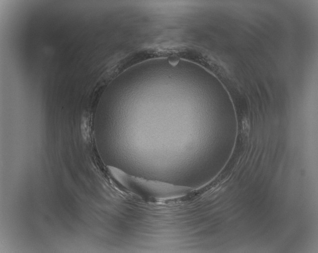 X0000070341300200606161240