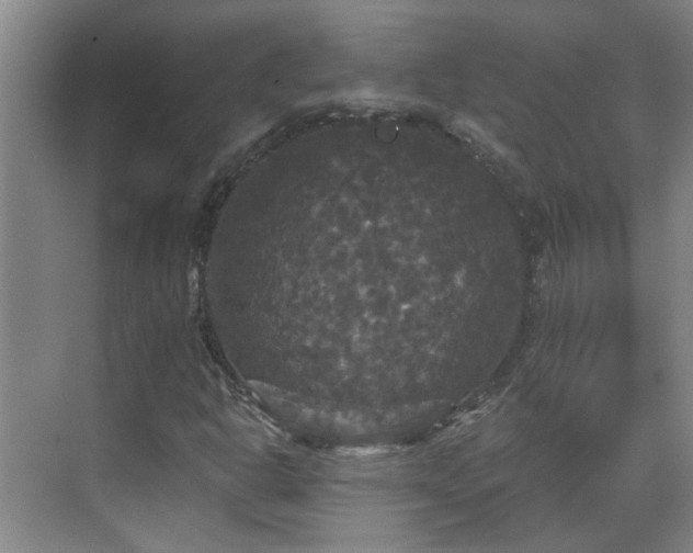 X0000070341302200606161240