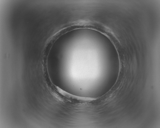 X0000070341304200606161240