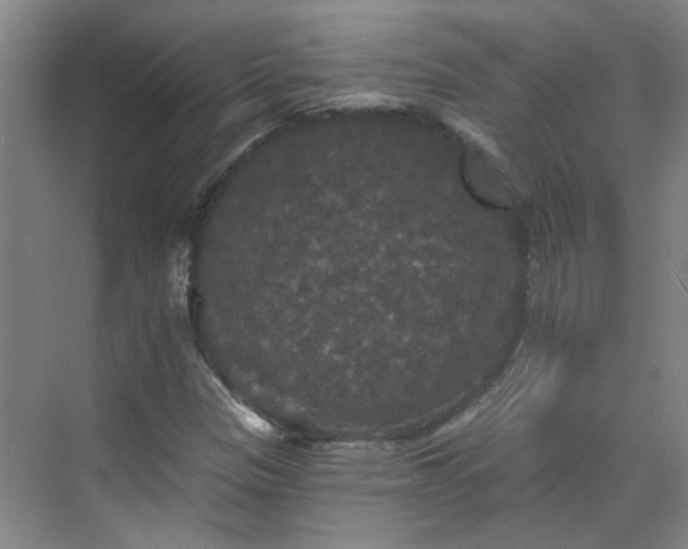 X0000070341305200606161240