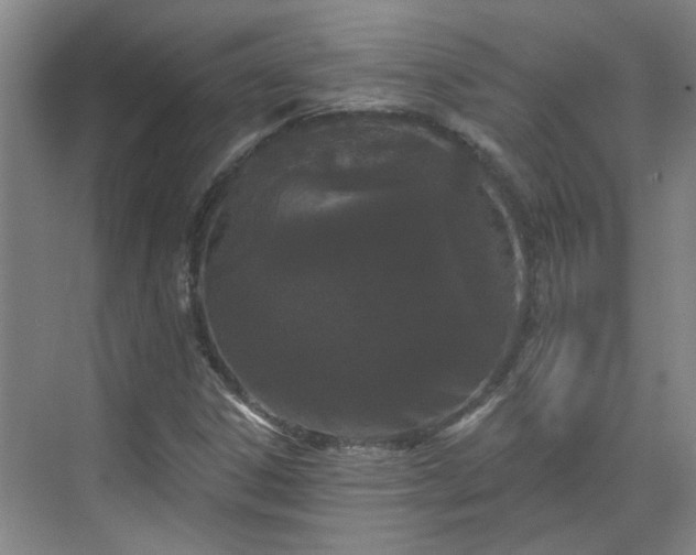 X0000070341306200606161240