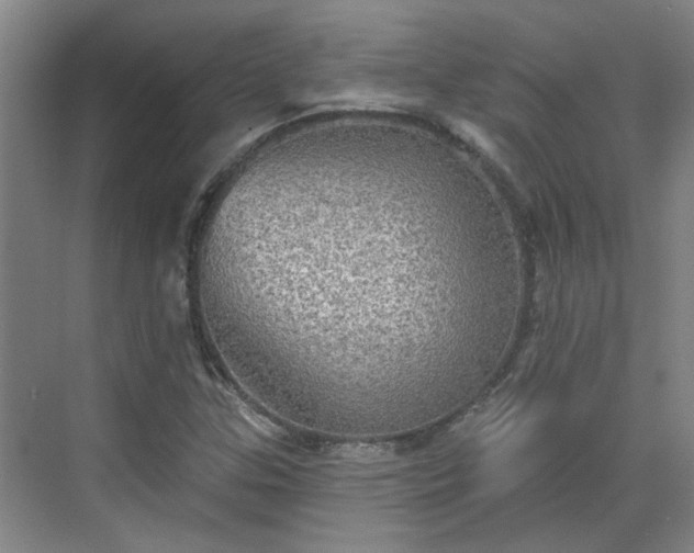 X0000070341307200606161240