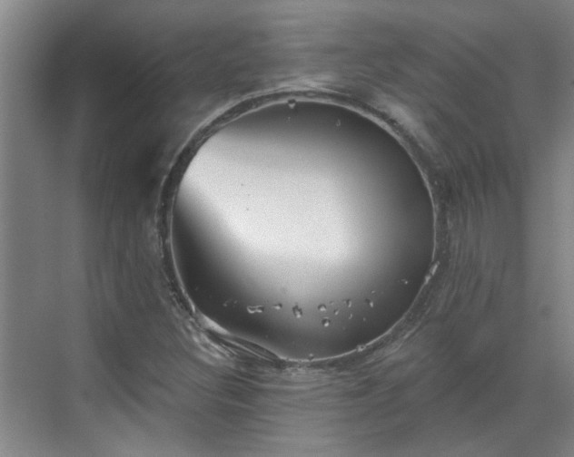 X0000070341308200606161240