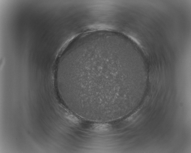 X0000070341309200606161240