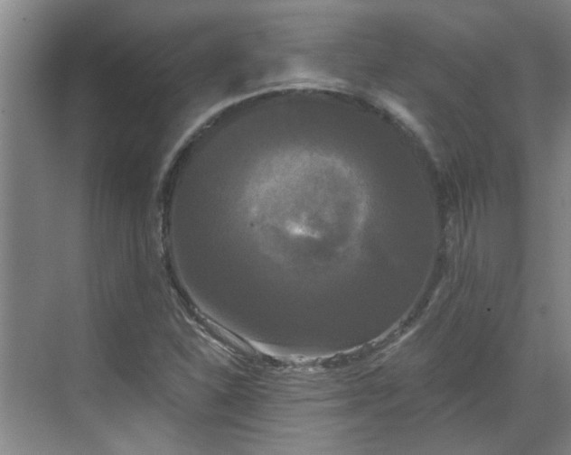 X0000070341310200606161240