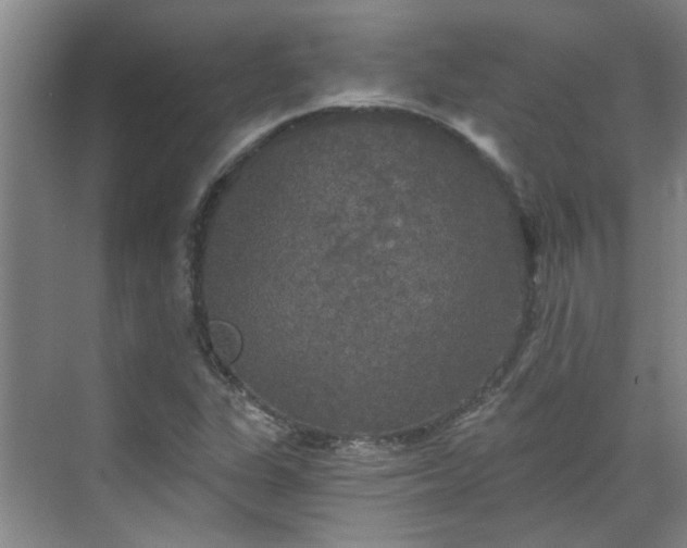 X0000070341311200606161240