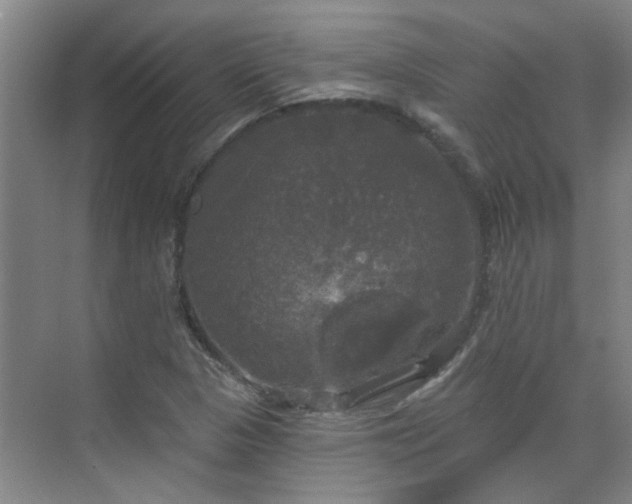 X0000070341313200606161240