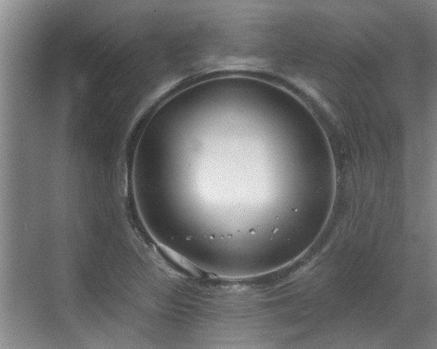 X0000070341317200606161240