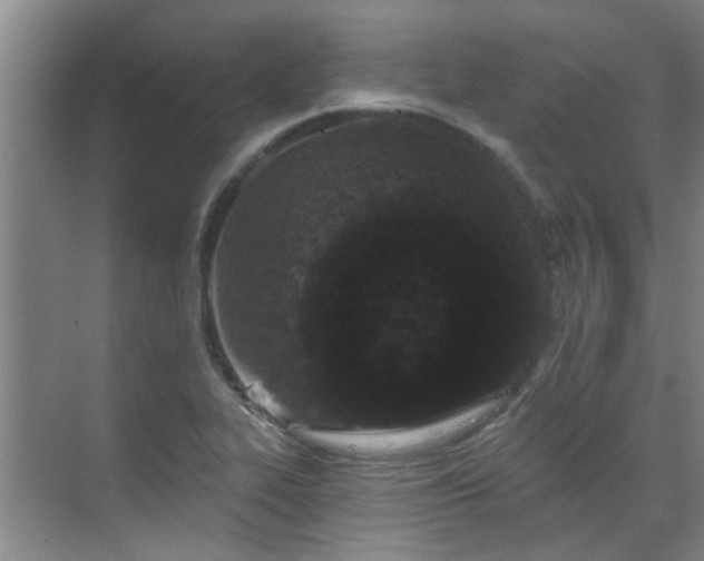 X0000070341319200606161240