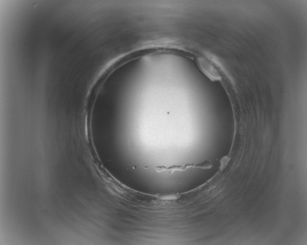 X0000070341320200606161240