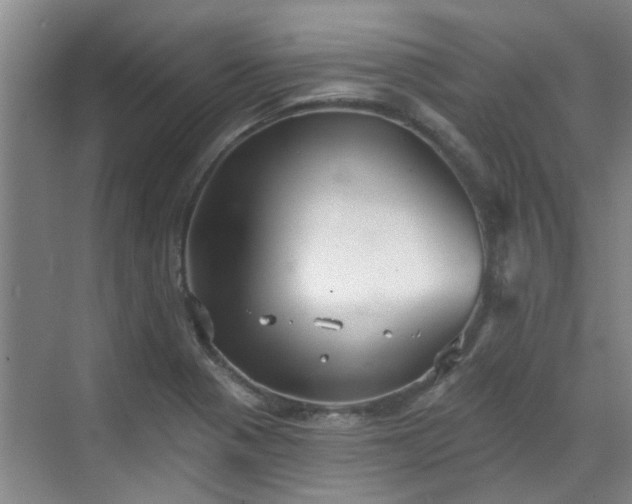 X0000070341321200606161240