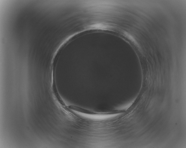 X0000070341323200606161240