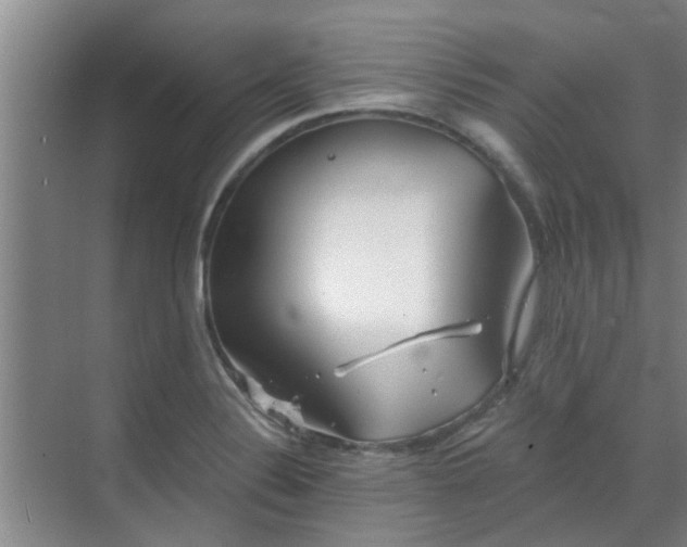 X0000070341324200606161240