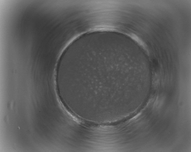 X0000070341325200606161240