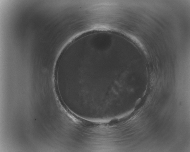 X0000070341327200606161240