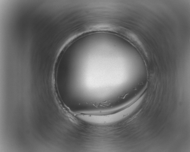 X0000070341328200606161240