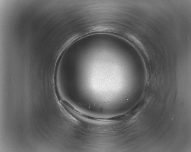 X0000070341330200606161240