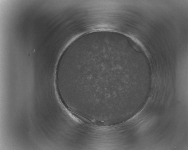 X0000070341333200606161240