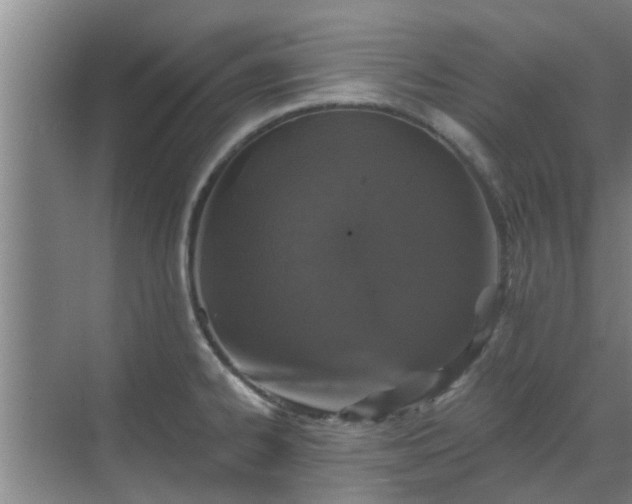 X0000070341334200606161240