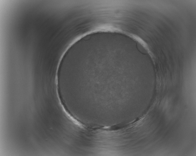 X0000070341335200606161240